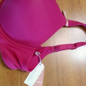 Ambrielle Fuchsia Bra 42D NWT